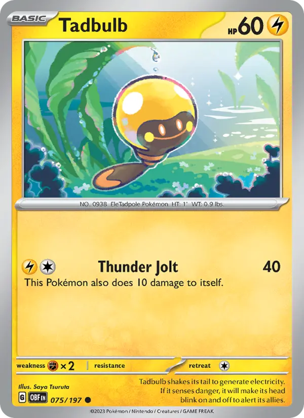 Tadbulb